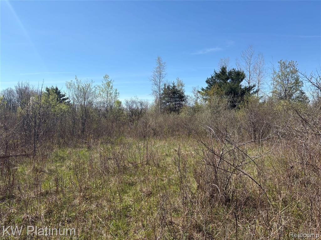 Parcel D Wicha Drive, Burtchville, MI 48059 — Photo 12