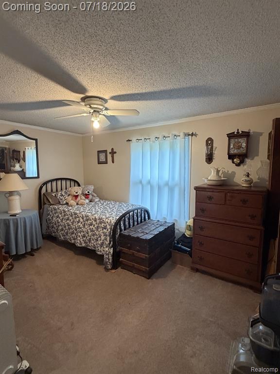 4070 Blood Road, Metamora, MI 48455 — Photo 19