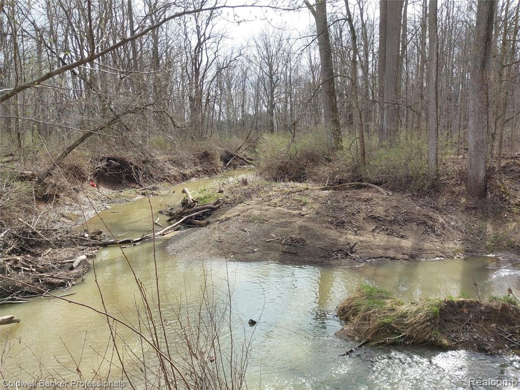 VL Rattle Run Road, St. Clair, MI 48079 — Photo 21
