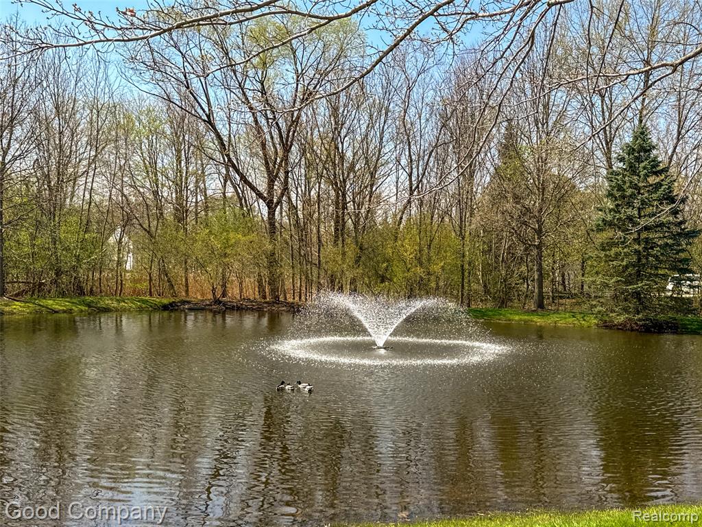2854 Cottonwood Drive, B, Waterford, MI 48328 — Photo 21