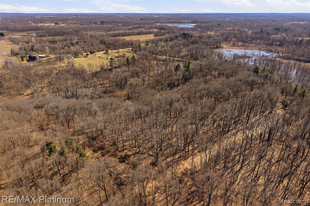 2555 E Cohoctah Road, Howell, MI 48855 — Photo 28