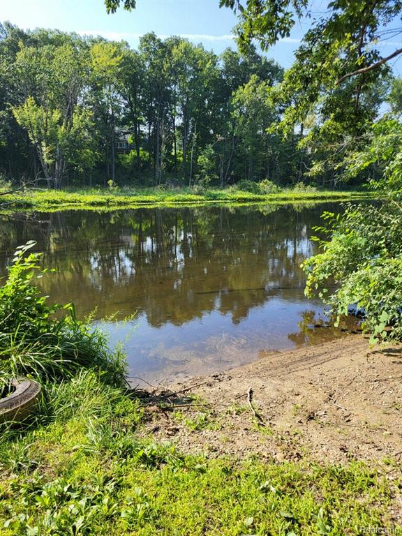 9327 Huron Park Drive, Brighton, MI 48116 — Photo 58