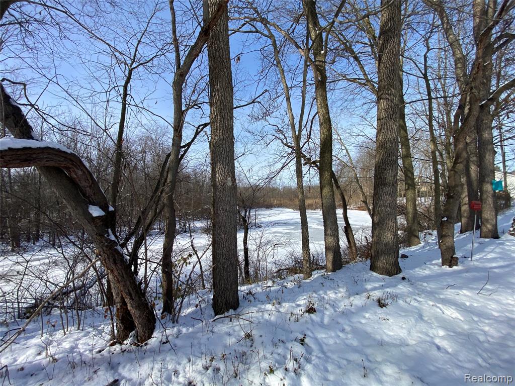 596 Yorkshire Sq. Square, 23, Milan, MI 48160 — Photo 12