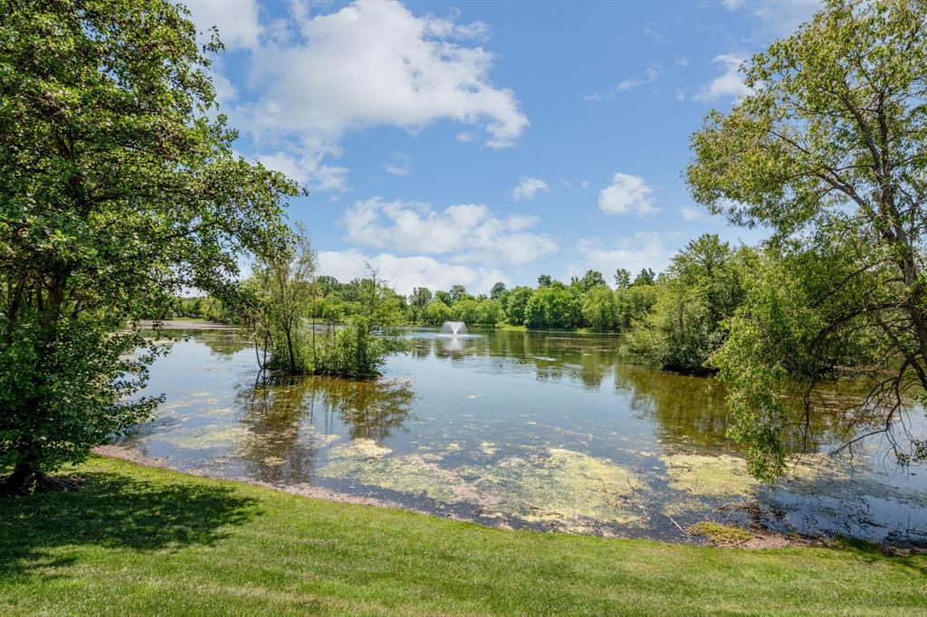 50424 LIVINGSTON Drive, Northville, MI 48168 — Photo 52