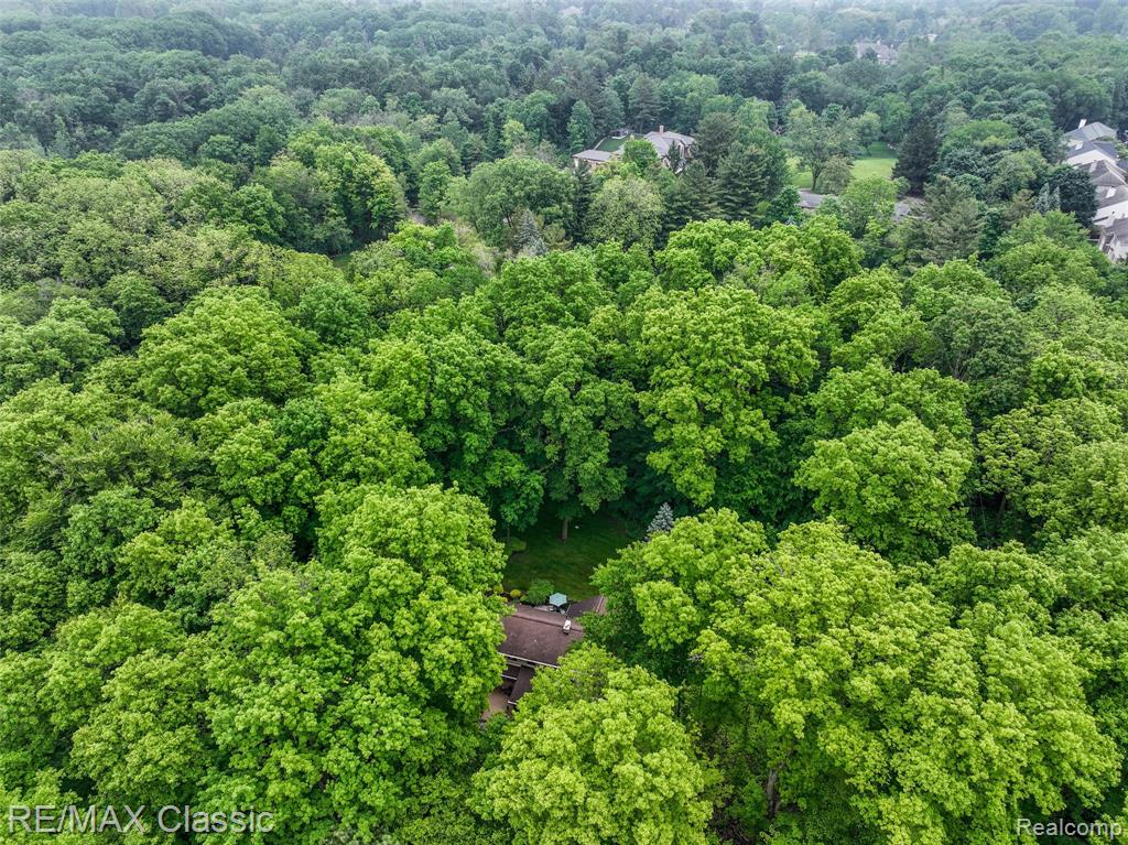 45100 Thornapple Lane, Northville, MI 48168 — Photo 6