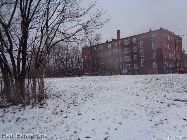 2691 ROCHESTER Street, Detroit, MI 48206 — Photo 6