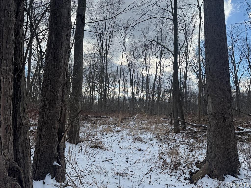 01 Remer Road, China, MI — Photo 4