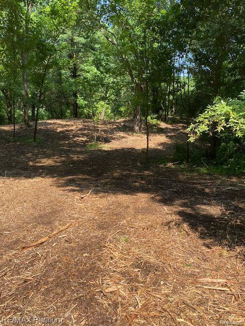 6 Sleaford-Parcel 6 - 2.1 Acres Road, Howell, MI 48843 — Photo 16