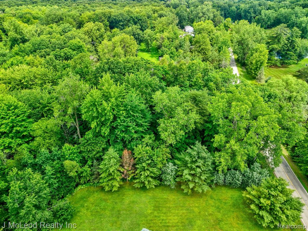 VL N Lewis Road, Clio, MI 48420 — Photo 11