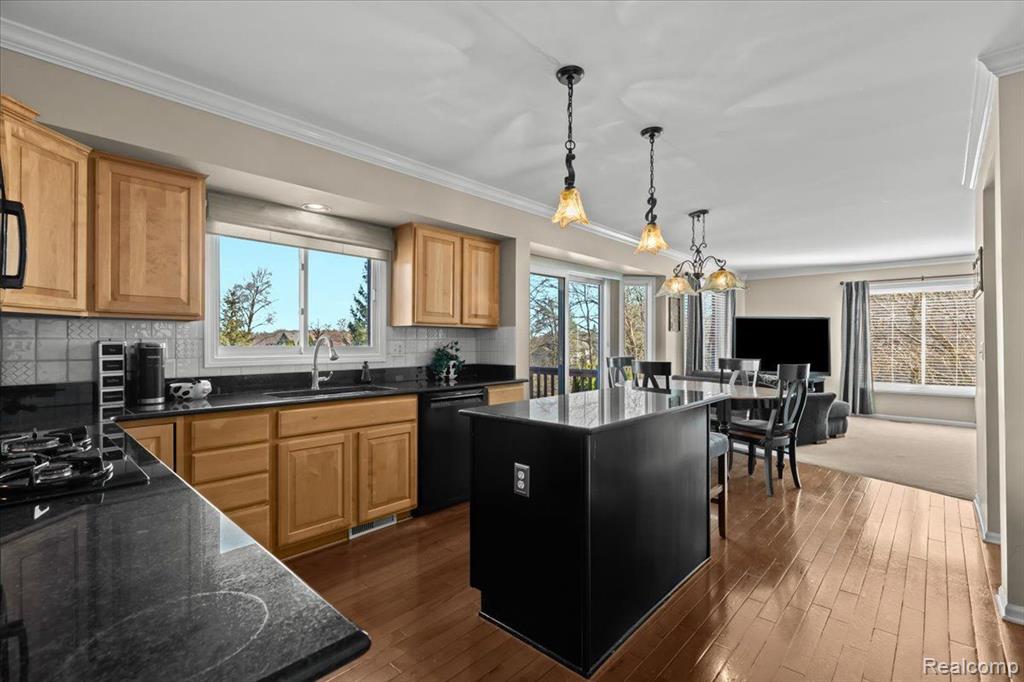 57322 HIDDEN TIMBERS Drive, South Lyon, MI 48178 — Photo 12