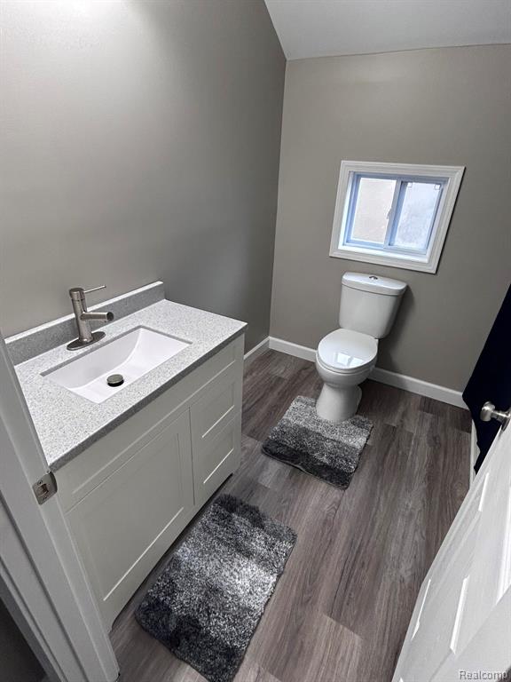 5667 MILL Street, Peck, MI 48466 — Photo 13