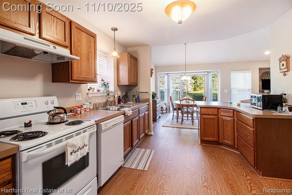 59572 Twin Pines Drive Twin Pines Drive, New Hudson, MI 48165 — Photo 8