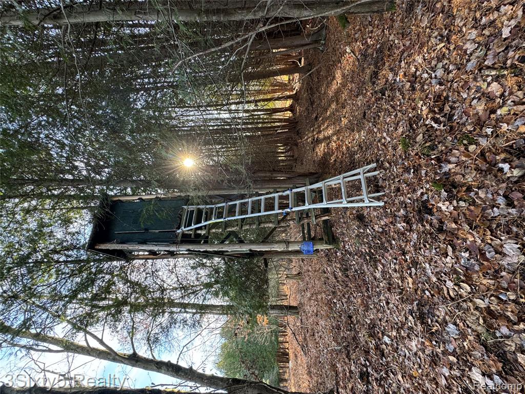 7710 10 Mile Road, Bitely, MI 49309 — Photo 4