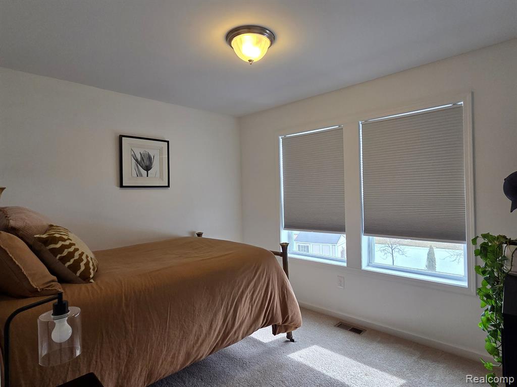 376 VENTURA, Howell, MI 48855 — Photo 14