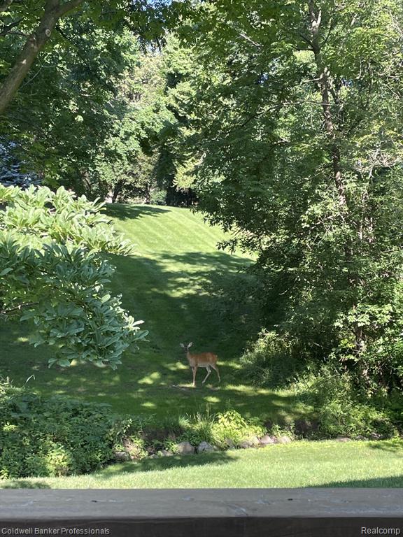18275 Edenderry Street, Northville, MI 48168 — Photo 61