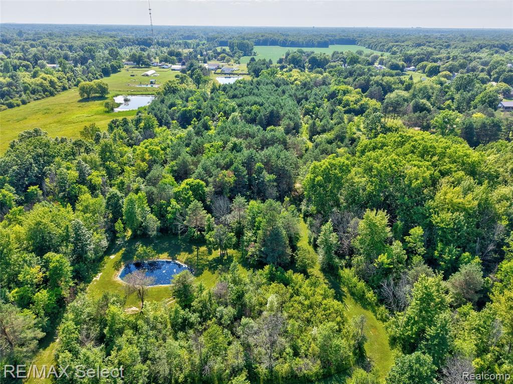 3309 S Vassar Road, Davison, MI 48423 — Photo 10