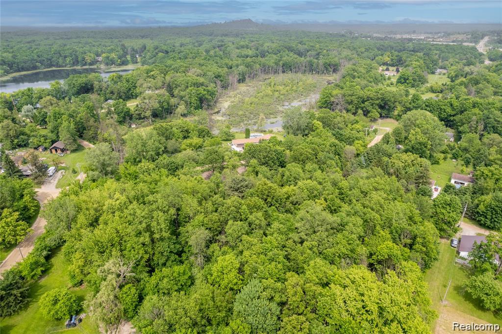 VL Birchwood Drive, Holly, MI 48442 — Photo 3