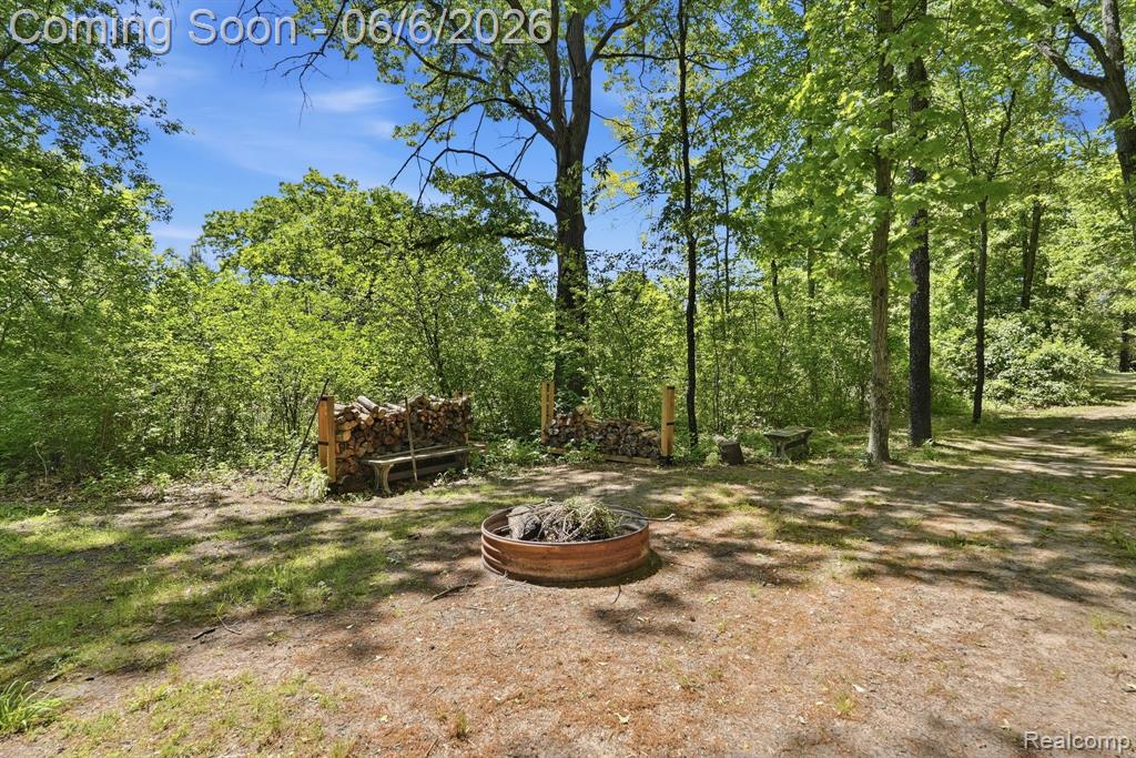 356 Avanti Lane, Highland, MI — Photo 67