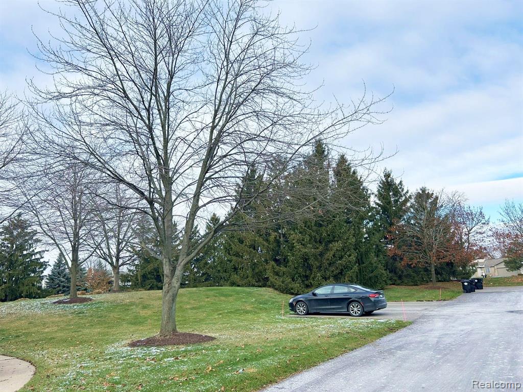 23074 FAIRLANE Boulevard, 6, Woodhaven, MI 48183 — Photo 46