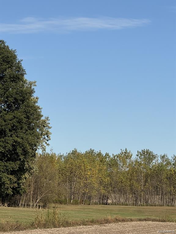 5304 Soper Road, Clifford, MI 48727 — Photo 19