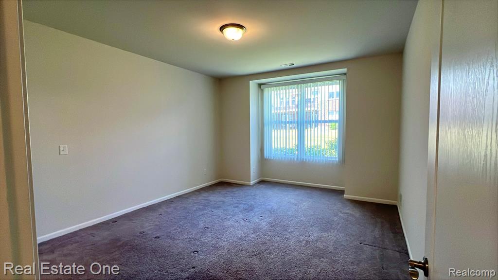 1113 Lark Street, Lake Orion, MI — Photo 19