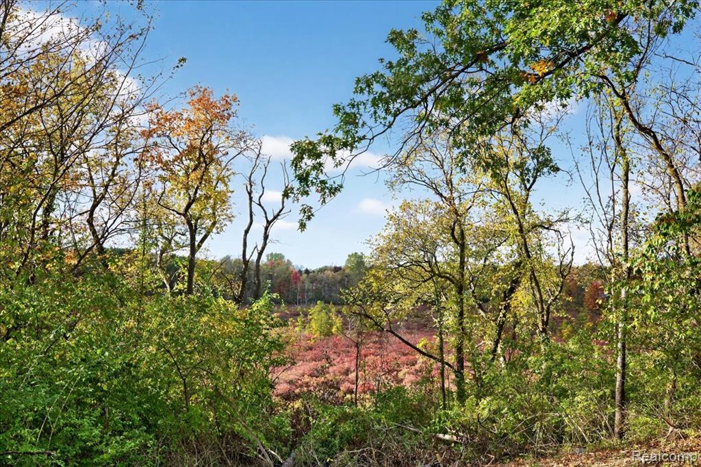 4050 Metamora Ridge, Metamora, MI 48455 — Photo 17