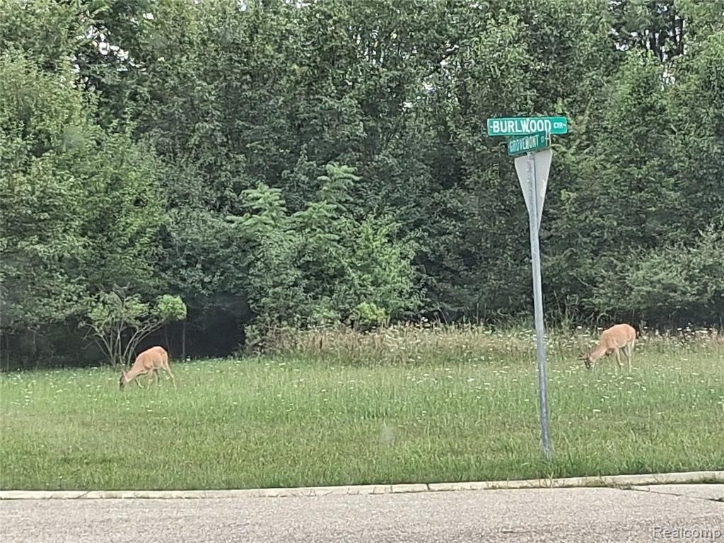 lot 21 Burlwood Circle, Grand Blanc, MI 48439 — Photo 15