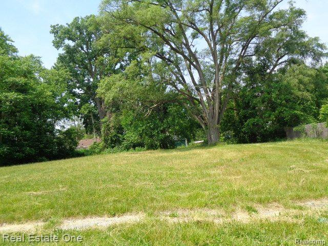 14605 DACOSTA Street, Detroit, MI 48223 — Photo 2