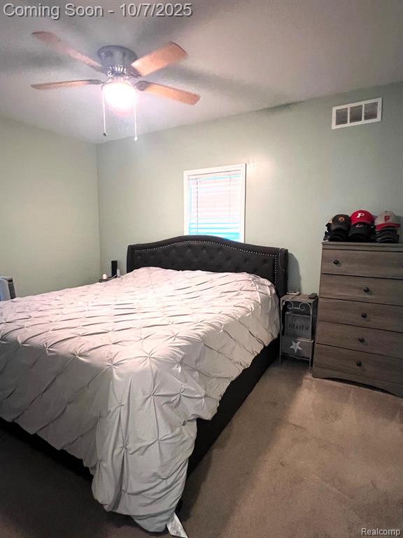 368 Green Street, Perry, MI 48872 — Photo 9