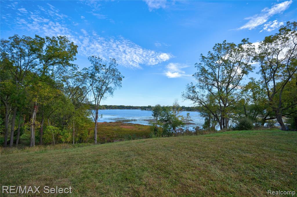 15451 Whitaker Road, Linden, MI 48451 — Photo 9
