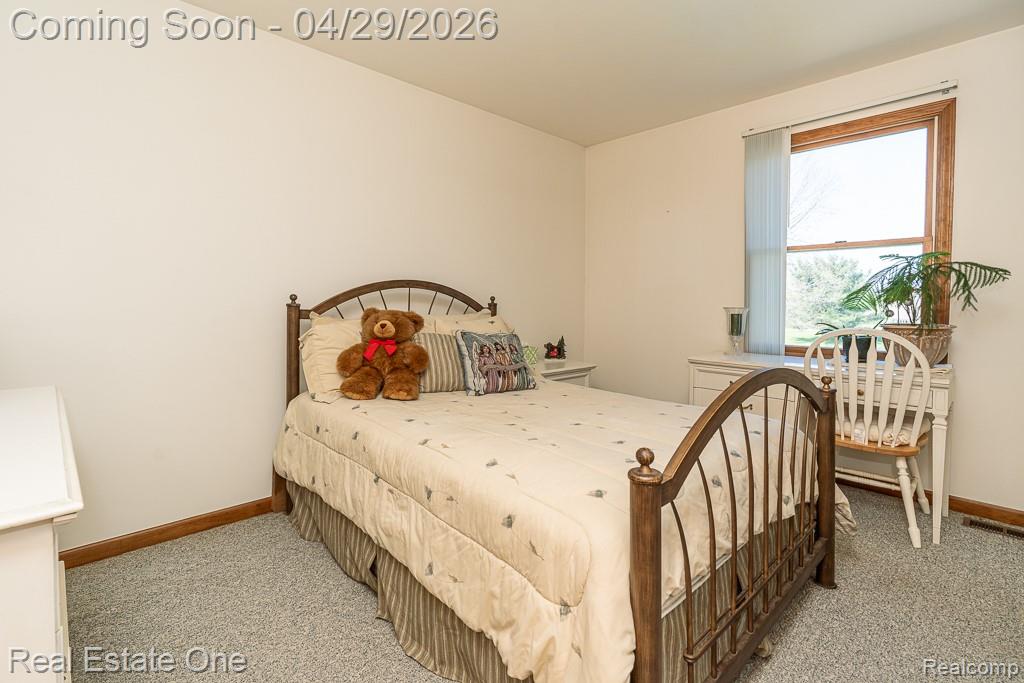 3739 Bethuy Road, Casco, MI 48064 — Photo 19