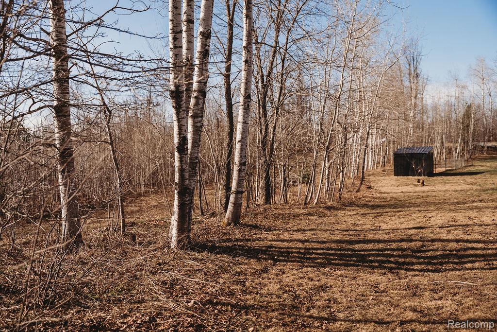 7186 Pineview Drive, Mancelona, MI 49659 — Photo 57