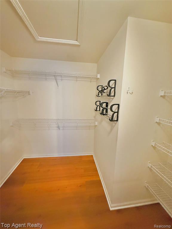 44975 Marigold Drive, Sterling Heights, MI 48314 — Photo 10