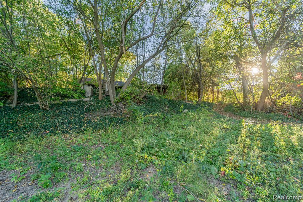 4354 Maybee Road, Lake Orion, MI — Photo 12