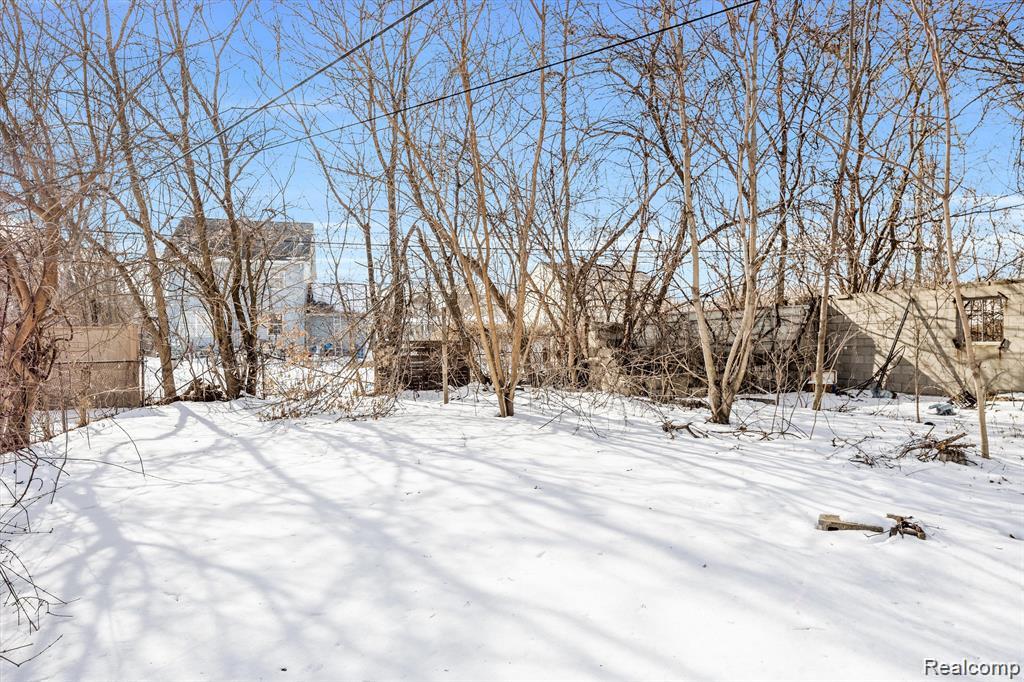 4673 FRENCH Road, Detroit, MI 48214 — Photo 3