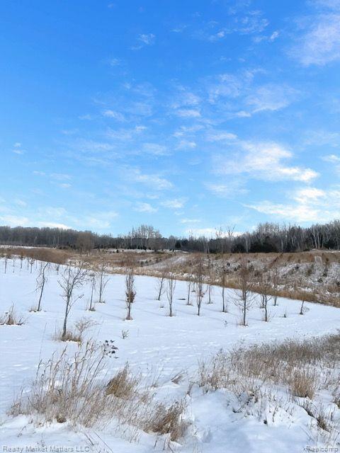 5770 Denhoff Road, Kingston, MI 48741 — Photo 24