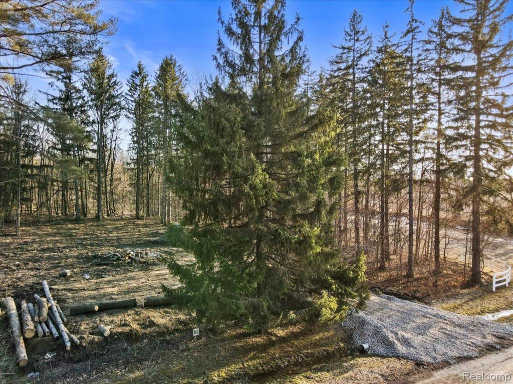 2995 Secluded Pines, Oxford, MI 48371 — Photo 4