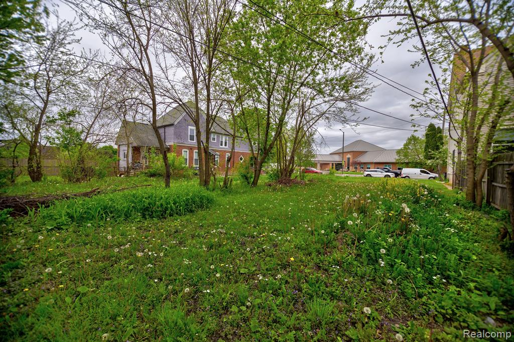 1751 W Warren Avenue, Detroit, MI 48208 — Photo 4