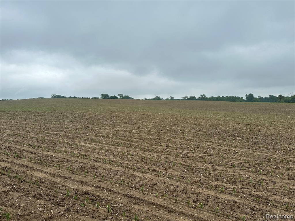 VL Mertz Road, Mayville Vlg, MI 48744 — Photo 25