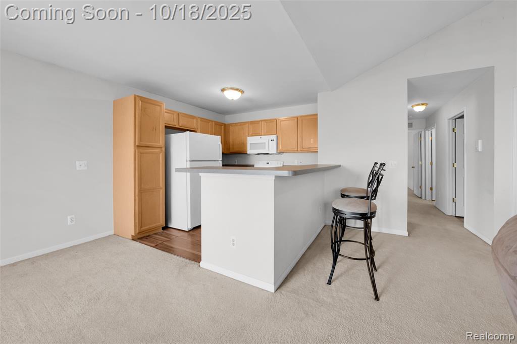 51616 Hale Lane, 204, Chesterfield, MI — Photo 13