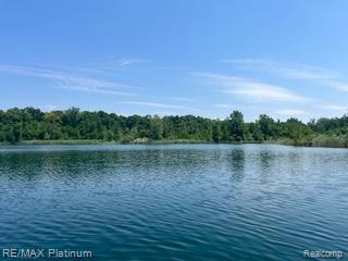 10029 Quarry Ridge Road, Clarkston, MI — Photo 51