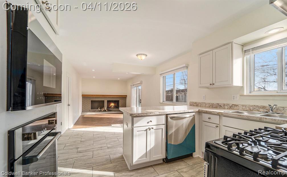 20338 Alderton Street, Detroit, MI 48219 — Photo 4