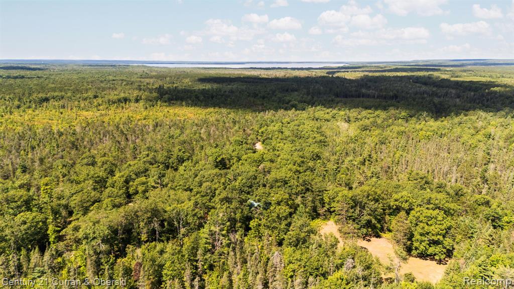 3265 Roost Road - Photo 3
