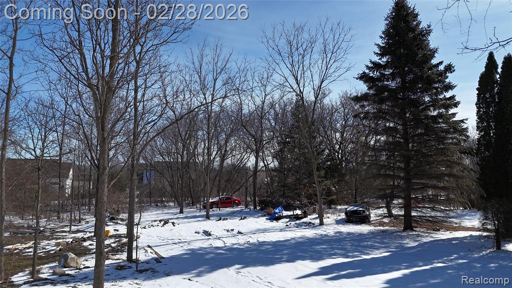 6106 E River Road, Flushing, MI 48433 — Photo 9