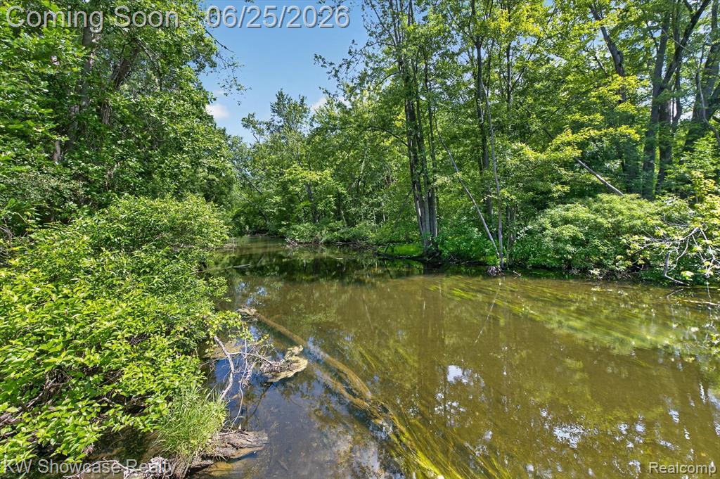 11073 Sandy Creek Drive, South Lyon, MI 48178 — Photo 62