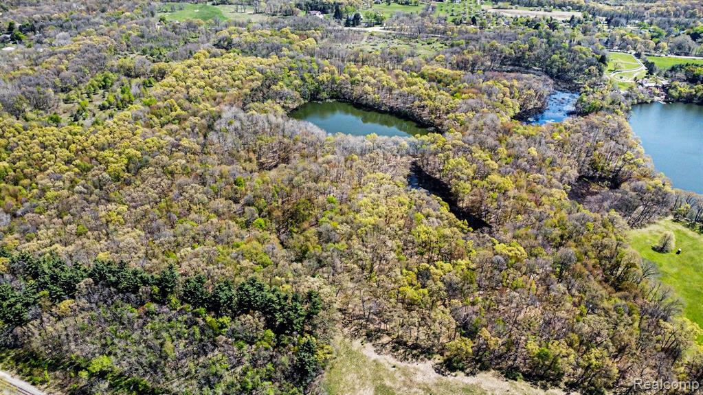 Parcel #3 Milford Rd, Holly, MI 48442 — Photo 18