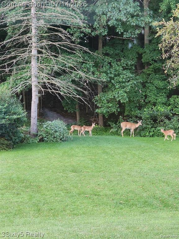 9251 Tonneberger Drive, Tecumseh, MI 49286 — Photo 46