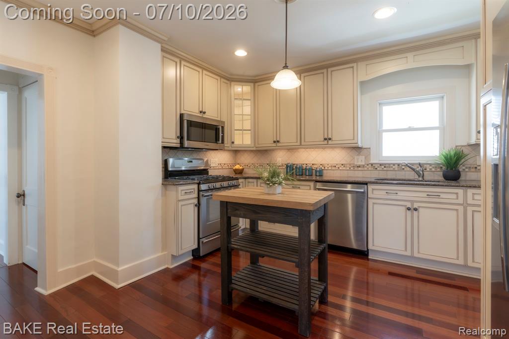 610 Blunk Street, Plymouth, MI 48170 — Photo 22