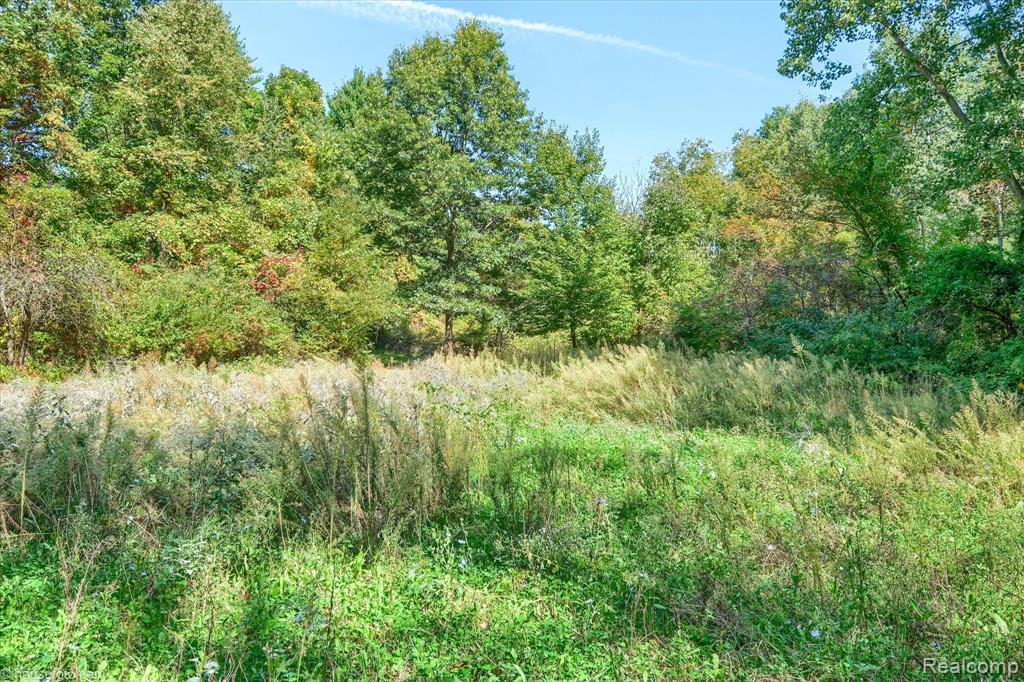 171 Elk Lake Road, Attica, MI 48412 — Photo 40