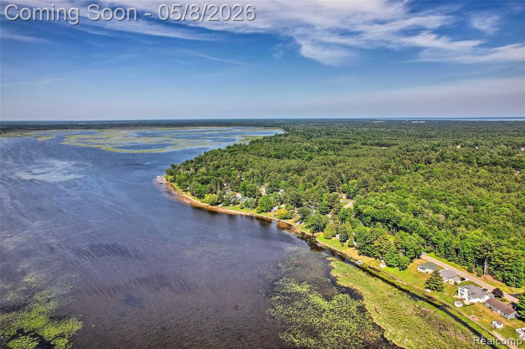 805 Rainbow Drive, East Tawas, MI 48730 — Photo 28